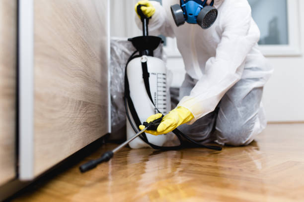 Best Pest Control Near Me  in Soquel, CA