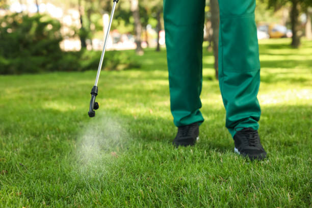 Best Bird Control  in Soquel, CA