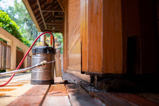 Best Emergency Pest Control  in Soquel, CA